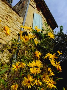 In recent years, Oppède-le-Vieux has experienced a rebirth as a tourist destination.