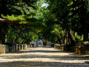 Of all that remains of the Roman Empire in Arles, the necropolis of Alyscamps is among the most compelling. It's a long, shady avenue lined with ancient sarcophagi on the outskirts of Arles.