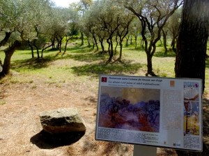 Many of Van Gogh's best known works were produced here at Saint-Paul.