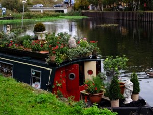 Some were as quirky and elaborate as any we saw in Amsterdam!