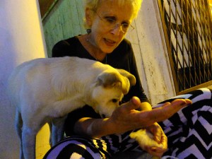 He got off his chair and came to where we waited. Naturally, we shared our snack with him.