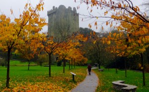 Just north of Cork is the world-famous Blarney Castle. Here visitors can kiss the Blarney Stone to receive the Irish gift of gab. An efficient system has been developed to move tourists through this ritual. As each one lies on his or her back to kiss the stone, a photo is snapped and offered for sale. We chose not to kiss the stone. I already talk too much, and it seems a bit unsanitary. The attendants must chuckle each time someone kisses the stone, since it is part of one of the castle's garderobes, or latrines.