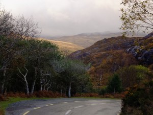 After lunch we took the long way home through Killarney National Park. It has the most extensive covering of native forest remaining in Ireland.