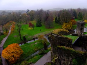 We visited on a drizzly day in November. The crowds were thinner than in the high season. Best of all, the light mist made all the colors of the beautifully landscaped castle grounds rich and vibrant.