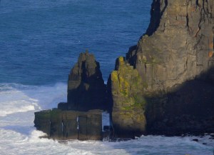 The tiny white specks in this photo are shorebirds, oddly soaring below you.