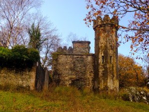 There is much to see in and around Killarney National Park, including Muckross House and Abbey, Ross Castle, and Torc Waterfall. But we had a long drive home and were losing light, so we had to be content with a drive through the park, stopping whenever we saw something of interest, like this unnamed ruin.
