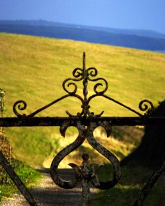 Detail, iron gate, County Cork, Ireland.
