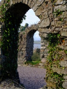 Ruins, named and unnamed, are numerous and quite accessible all over Ireland.