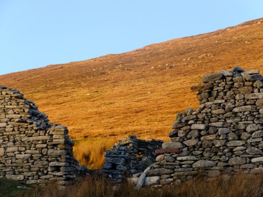 The former residents and their descendants continued to use the site as a "booley." This means that during the summer, younger members of the family would take the livestock to graze on the hillside. They stayed in the houses of the Deserted Village. This custom continued until the 1940s.