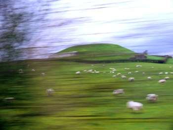 From the Newgrange visitors center, visitors are assigned to tour groups and are taken by bus to the site itself. This photo was taken from the bus as we approached. Newgrange appears first as a massive mound in the distance, behind fields of grazing sheep.
