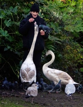 There is always something interesting to see in St. Stephens's Green.