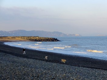 In the chilly January wind, the broad, rocky beach was almost deserted.