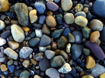 The pebbles display a vast variety of colors.