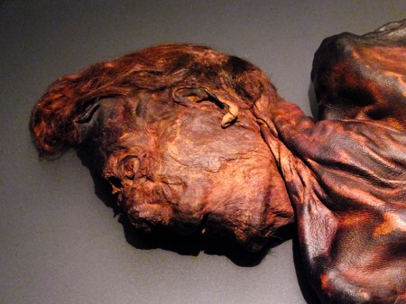 Here too are some of Ireland's bogmen, accidentally preserved for centuries and then discovered as peat was harvested. Clonycavan Man is from the Early Iron Age, 400-200 BC.