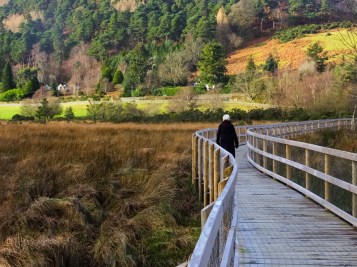 Boardwalks and paths invite visitors to explore the valley.