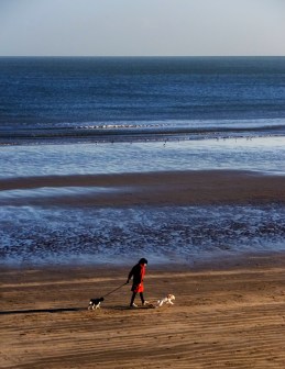 It's quite a different beach in January, though lovely in it's own chilly way.