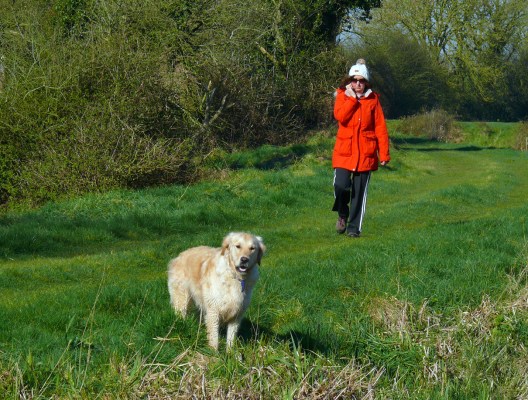 Dog and Walker-13x17-72dpi-P1970488