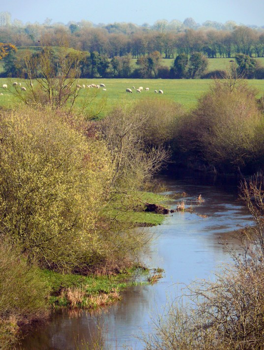 River Boyne From Aqueduct-V-13x17-72dpi-P1970373.jpg