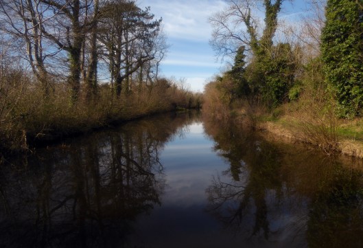 Canal View-13x19-72dpi-P1010906